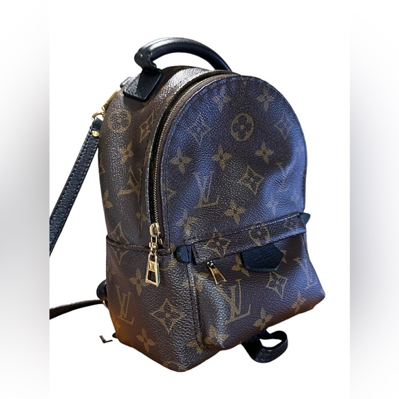Louis Vuitton Handbags - Genuine LOUIS VUITTON Palm Springs mini backpack monogram